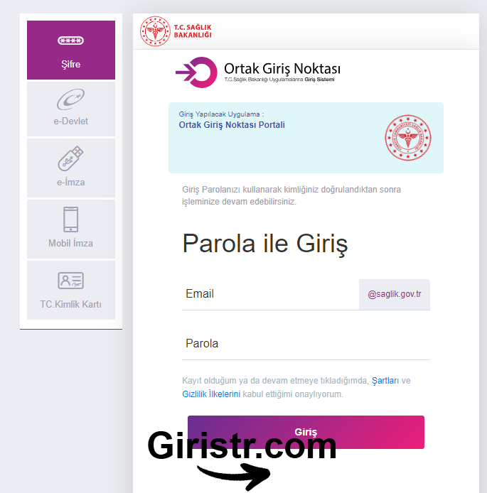 Ortak Giriş Noktası